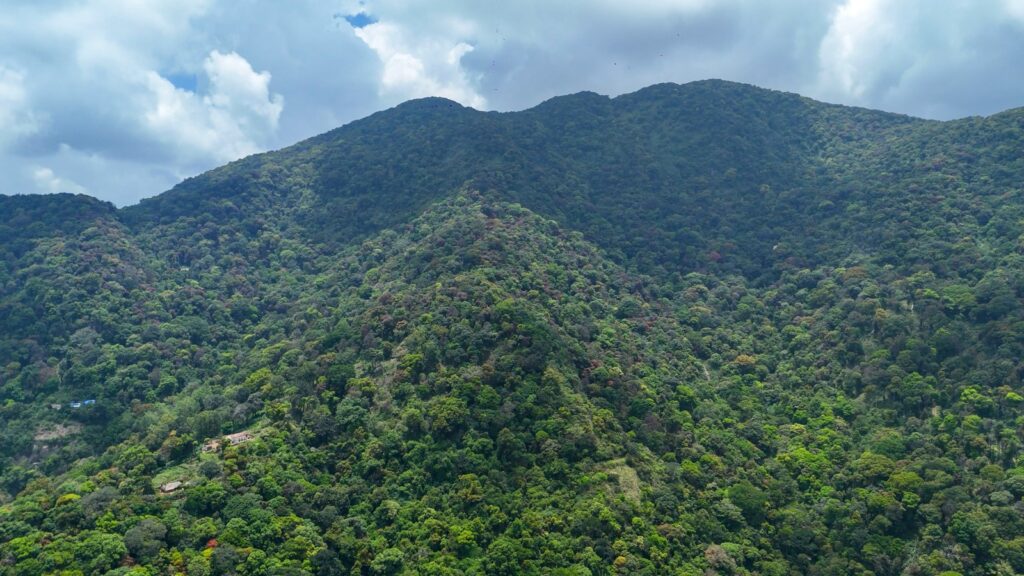 WhatsApp Image 2025-04-10 at 12.22.17 PM